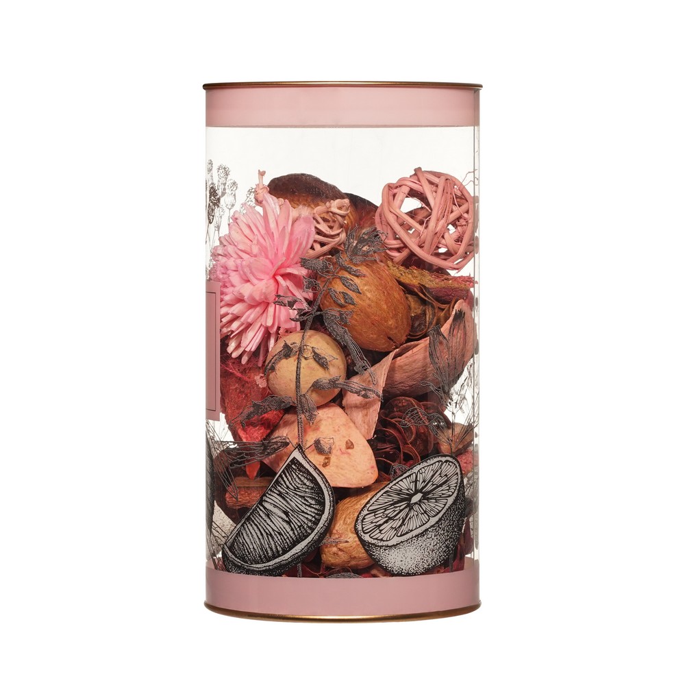 Ливфреш освеж воздуха декор сухоцвет Розовый Грейпфрут 100МЛ